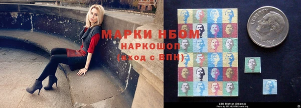прущий лед Абаза